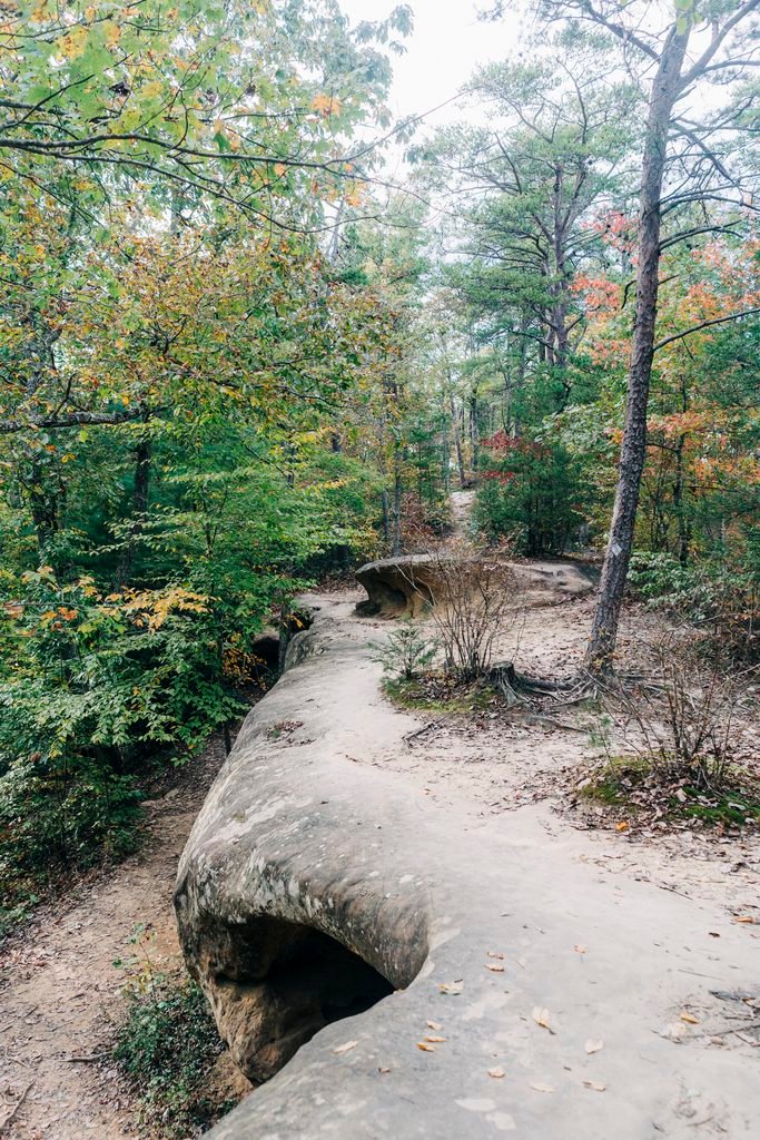 Hiking in Red River Gorge