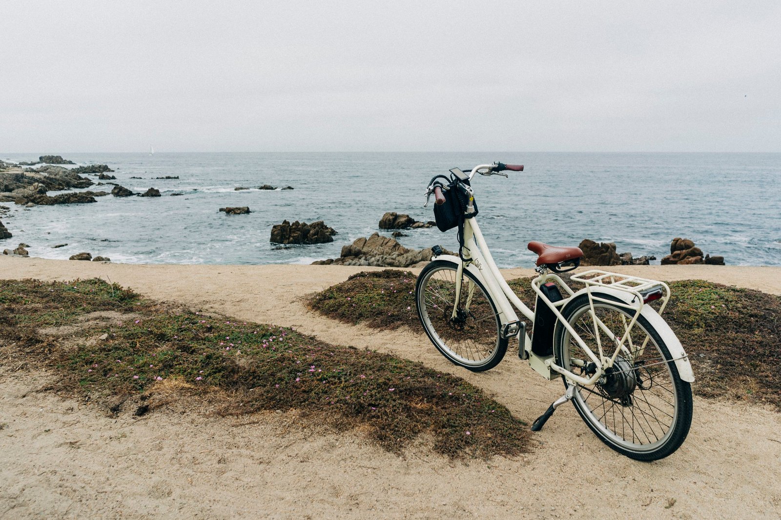 E-Biking 17 Mile Drive